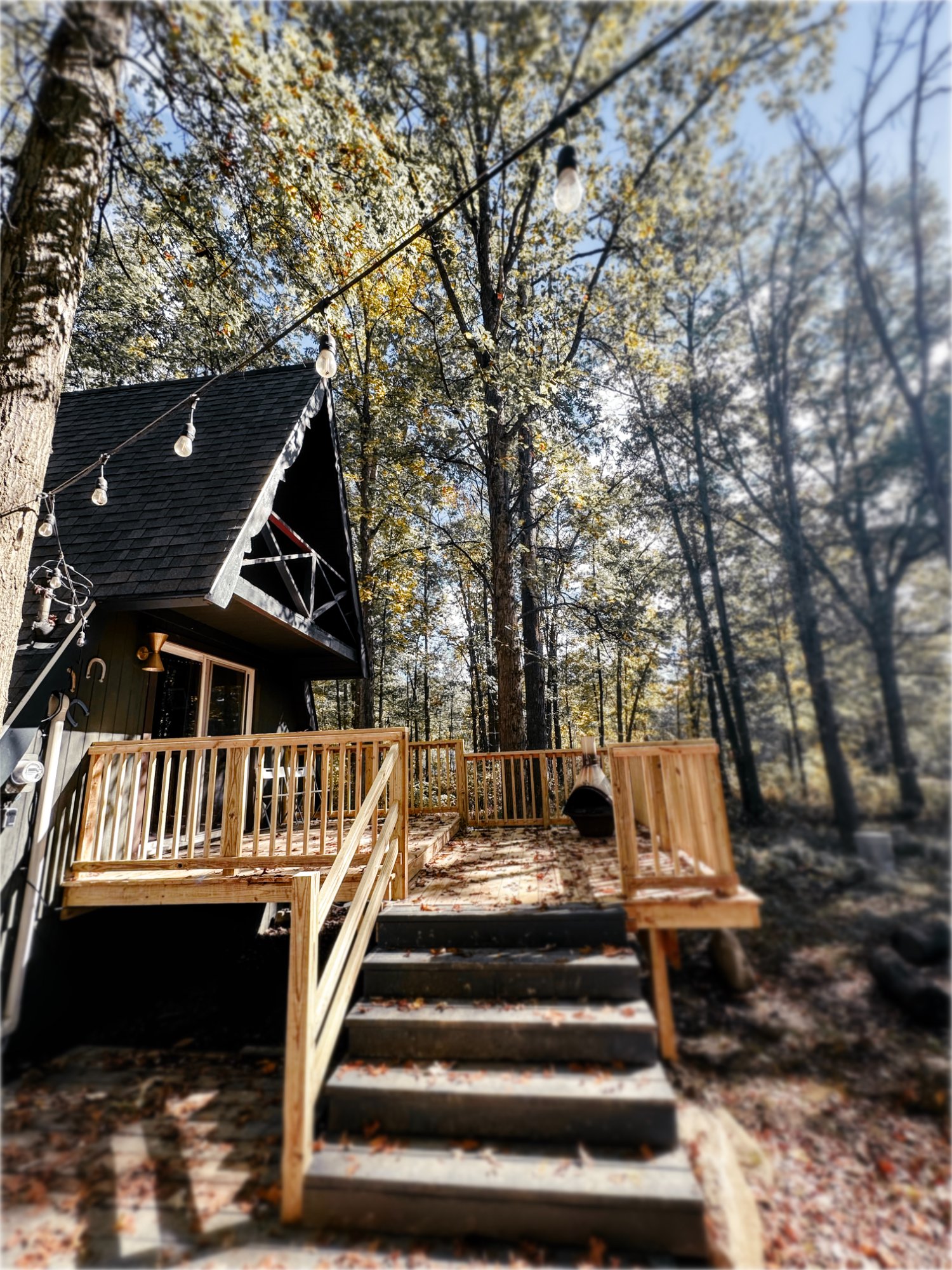 The Triangle cabin deck with string lights among the trees